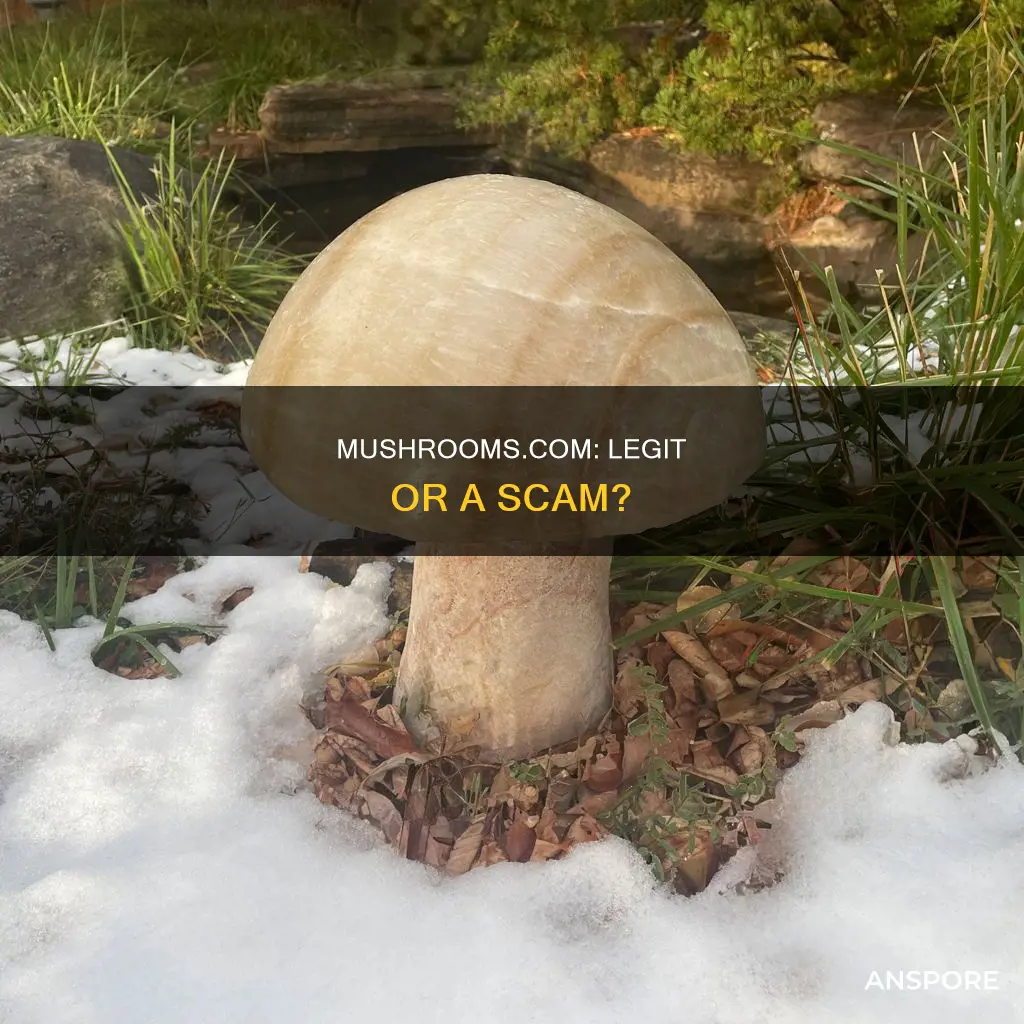 is mushrooms com legit