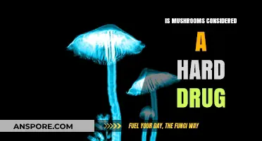 Are Mushrooms a Hard Drug? Exploring Psilocybin's Classification and Effects