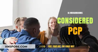 Mushrooms: A Natural PCP Alternative?