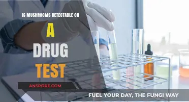 Can Mushrooms Be Detected on Standard Drug Tests? What to Know