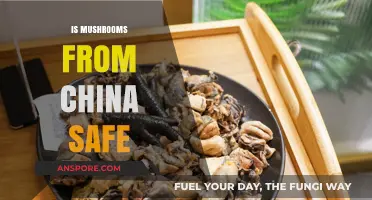 Are Chinese Mushrooms Safe to Eat?