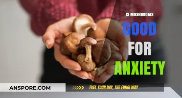 Mushrooms and Anxiety: Exploring Natural Remedies for Calm and Focus