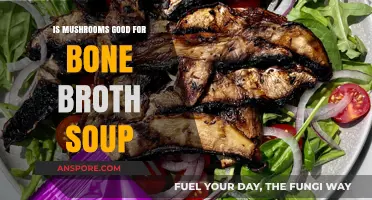 Mushrooms in Bone Broth Soup: Benefits, Flavor, and Nutrition Explained