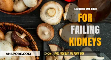 Mushrooms and Kidney Health: Benefits or Risks for Failing Kidneys?