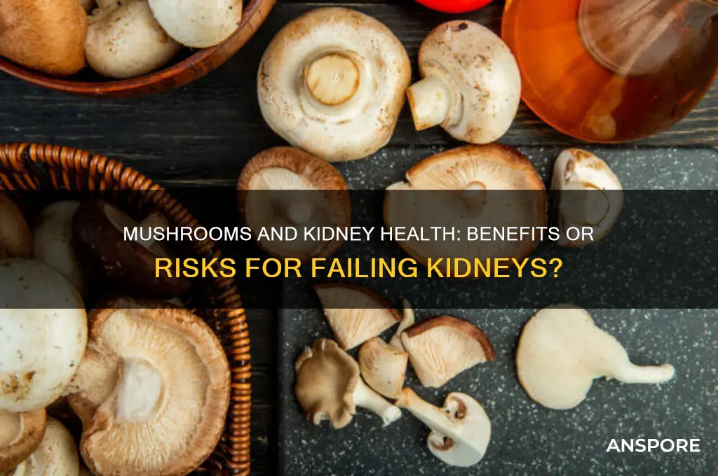 is mushrooms good for failing kidneys