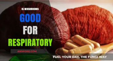 Mushrooms and Respiratory Health: Unveiling Their Surprising Benefits