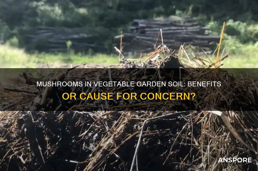 is mushrooms growing in vegetable garden soil good