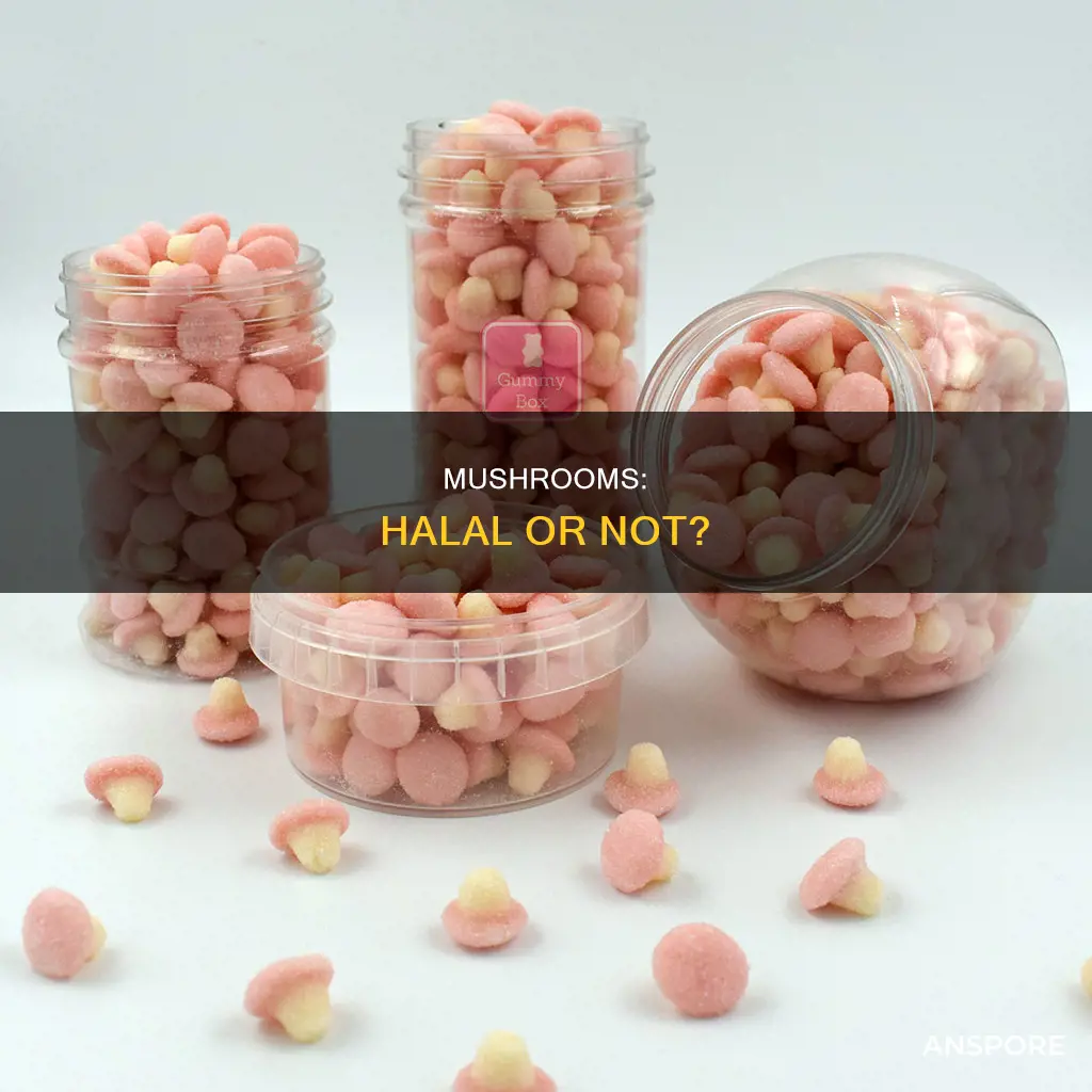 is mushrooms halal
