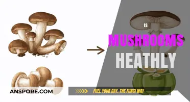 Mushrooms: Superfood or Super-Risky?