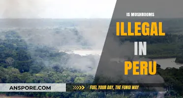 Mushroom Legality in Peru: What's the Deal?