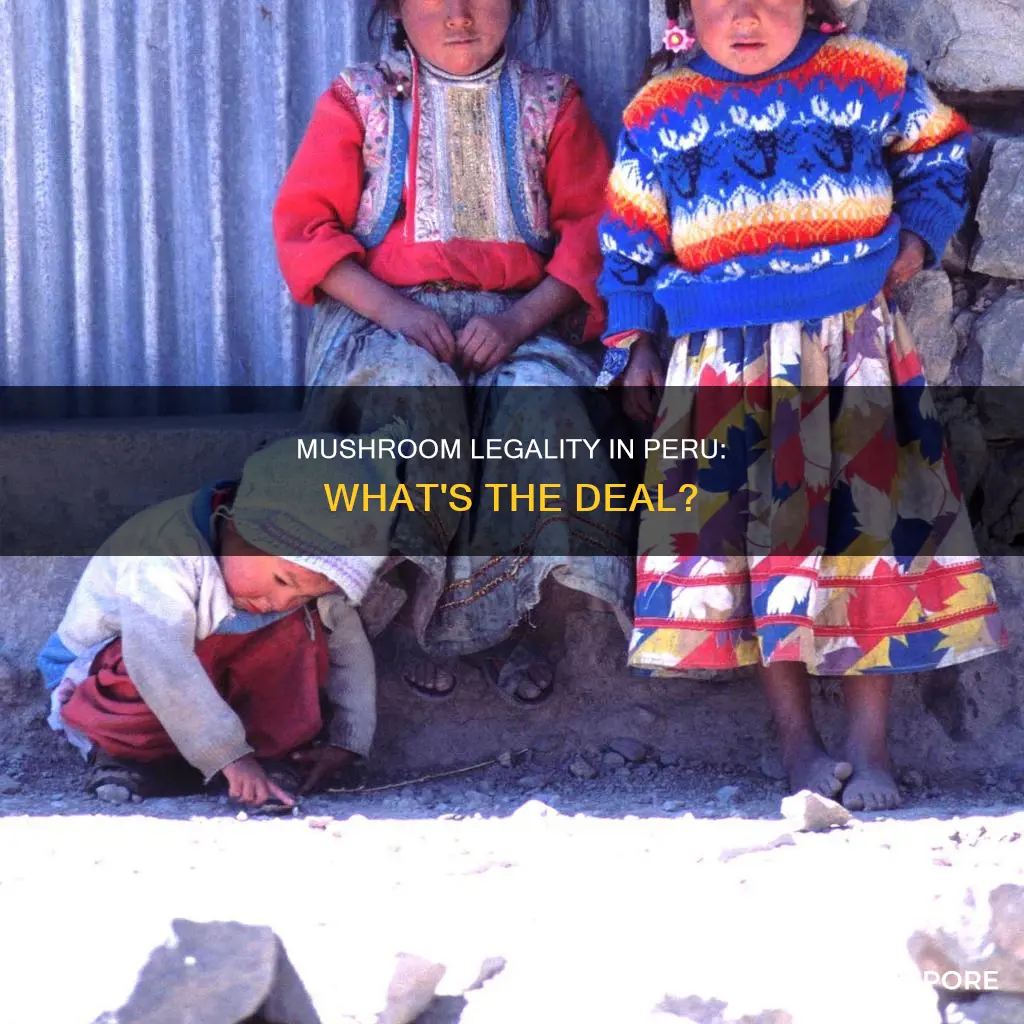 is mushrooms illegal in peru