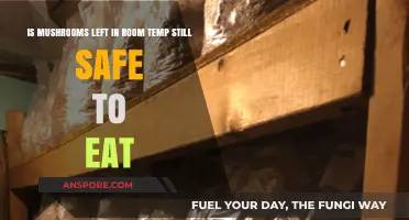 Are Room Temperature Mushrooms Safe to Eat? Expert Insights