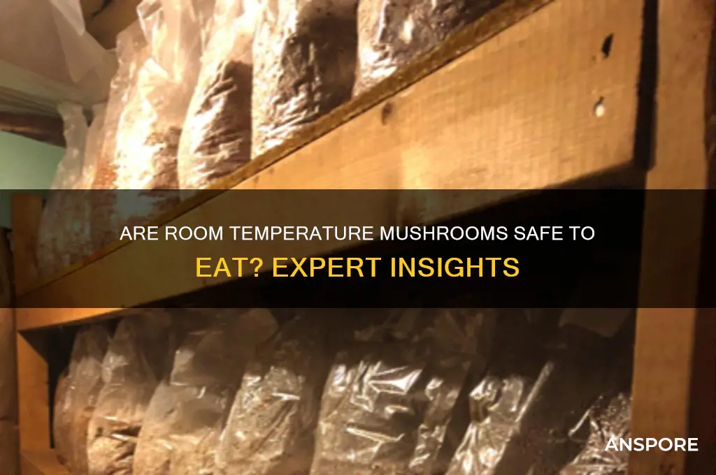 is mushrooms left in room temp still safe to eat