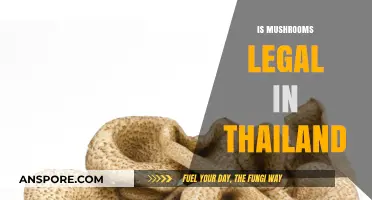 Are Mushrooms Legal in Thailand? Exploring Current Laws and Regulations