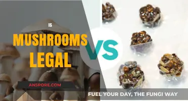 Are Mushrooms Legal? Exploring the Laws and Regulations Worldwide