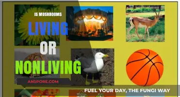 Mushrooms: Living or Nonliving?