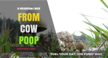 Are Mushrooms Grown in Cow Manure? Separating Fact from Fiction