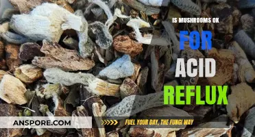 Mushrooms and Acid Reflux: Are They Safe to Eat?
