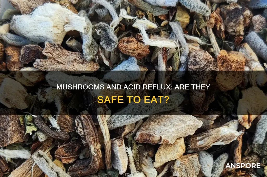 is mushrooms ok for acid reflux
