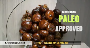 Mushrooms: Paleo-Friendly Superfood or Not?