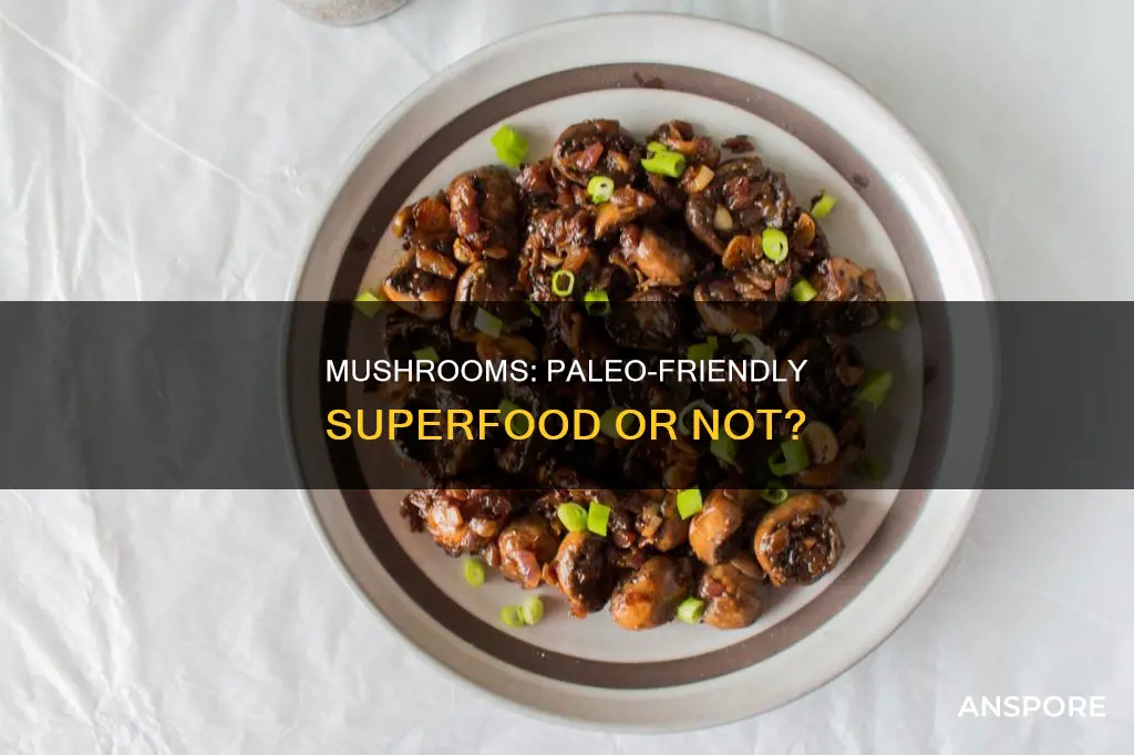 is mushrooms paleo approved
