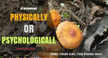 Mushrooms: A Physical or Mental Trip?