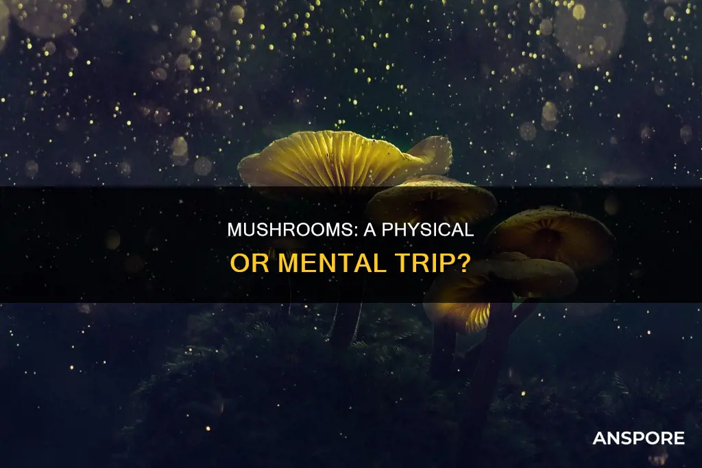 is mushrooms physically or psychologically