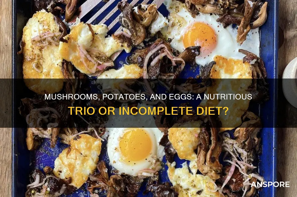 is mushrooms potatoes and eggs enough nutrients
