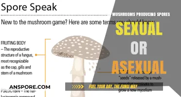 Mushroom Spore Production: Sexual or Asexual Reproduction Explained