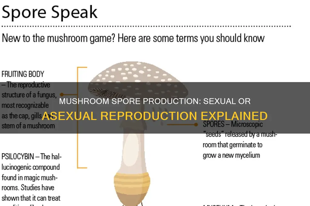 is mushrooms producing spores sexual or asexual