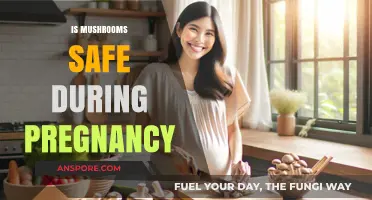 Pregnancy Diet: Are Mushrooms Safe?