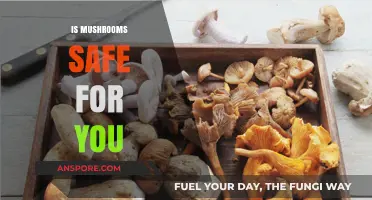 Mushrooms: Are They Safe to Eat?