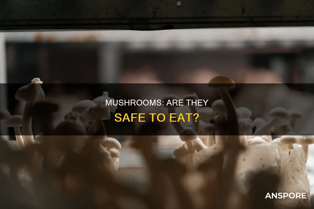 is mushrooms safe for you