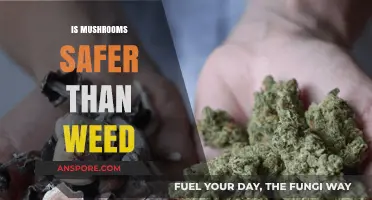 Mushrooms vs Weed: Which is Safer?