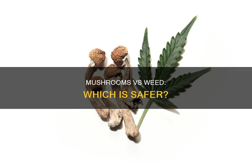 is mushrooms safer than weed