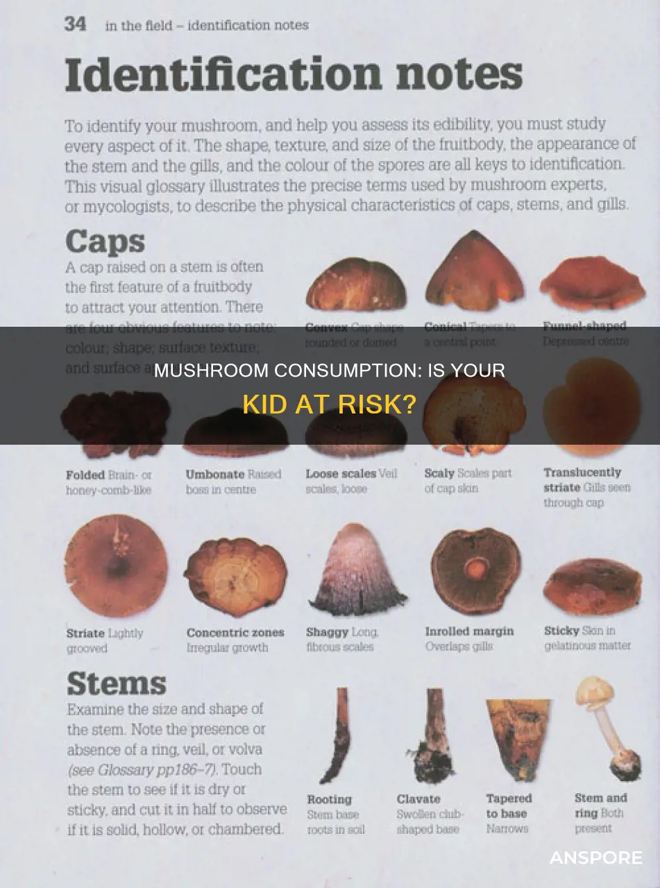 is my kid on mushrooms