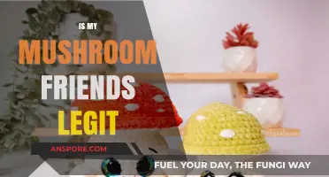 Legit or Not? My Mushroom Friends Reviewed