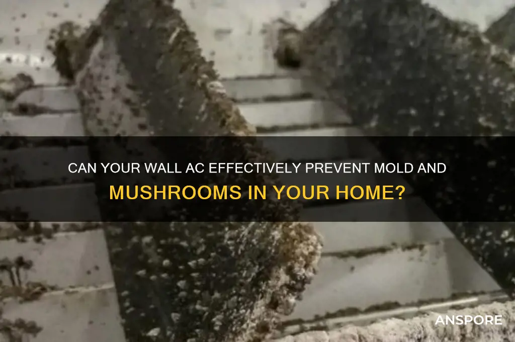 is my wall ac enough fae mushrooms