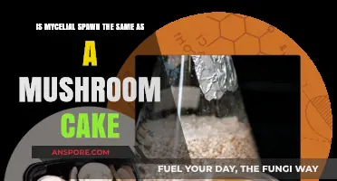 Mycelial Spawn vs. Mushroom Cake: Understanding the Key Differences