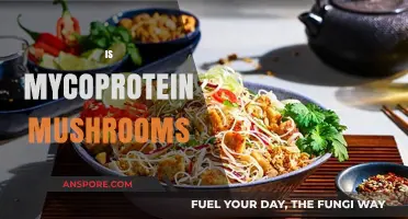 Mycoprotein Mushrooms: The Future of Sustainable Protein?