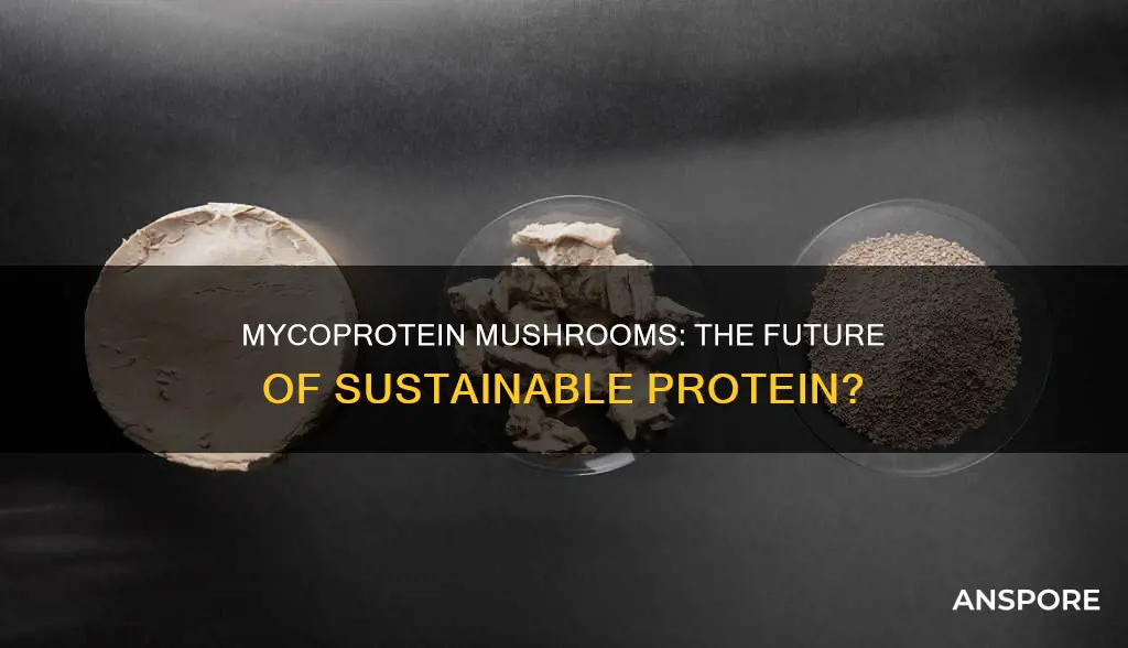 is mycoprotein mushrooms