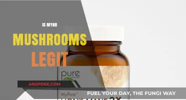 Mynd Mushroom Legitimacy: Are They Worth the Hype?