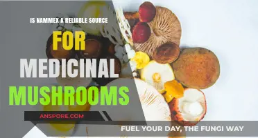 Is Nammex a Trustworthy Supplier of Medicinal Mushrooms?