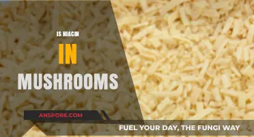 Mushrooms and Niacin: What's the Connection?