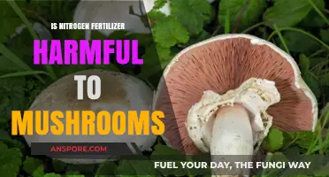 Nitrogen Fertilizer's Impact: Harmful or Helpful for Mushroom Growth?