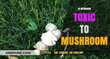 Nitrogen's Toxicity: Friend or Foe to Mushrooms?