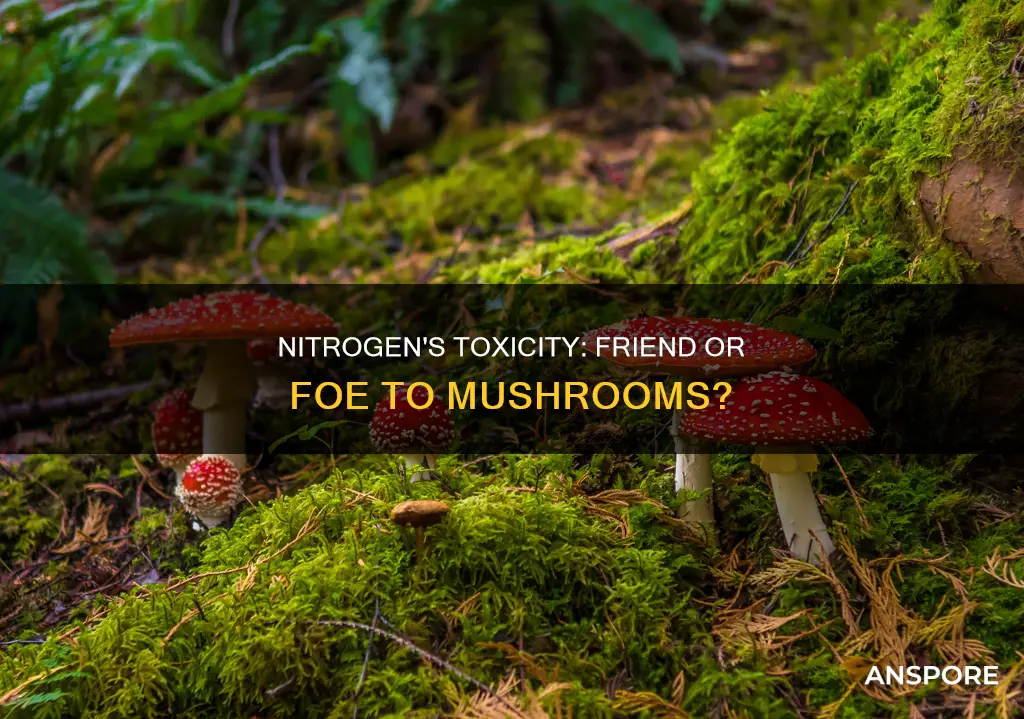 is nitrogen toxic to mushrooms