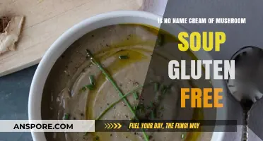 Is No Name Cream of Mushroom Soup Gluten-Free? Find Out Here