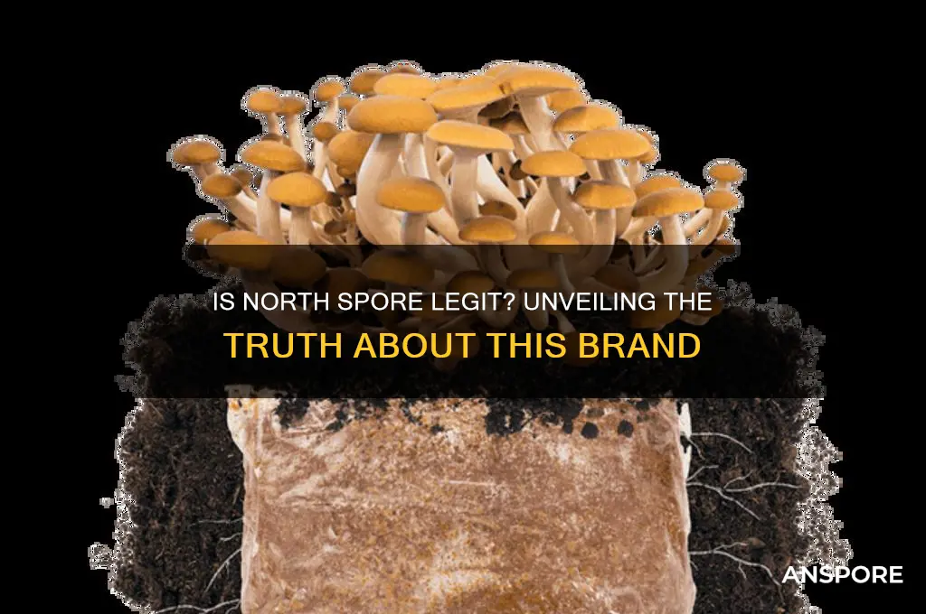 is north spore legit