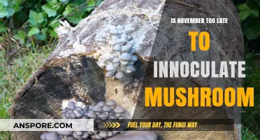 Is November Too Late for Mushroom Inoculation? Expert Insights